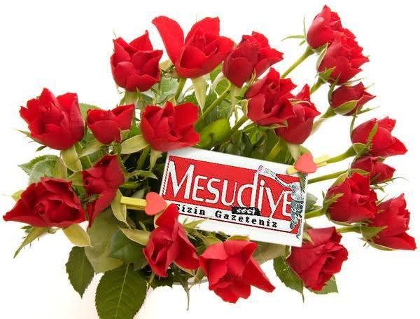 DÜNYA KADINLAR GÜNÜ KUTLU OLSUN!