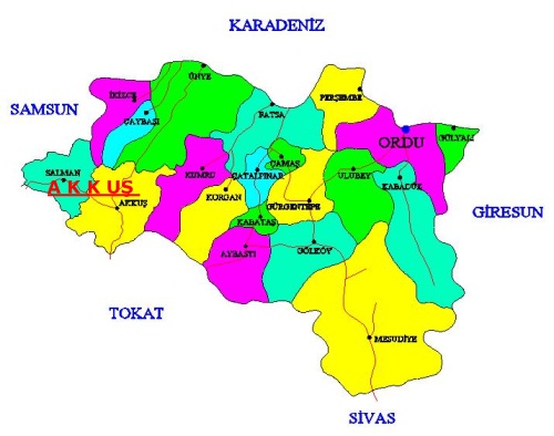 Mesudiye'de ilk sonuçlara göre oran yüzde 70'e, yüzde 30