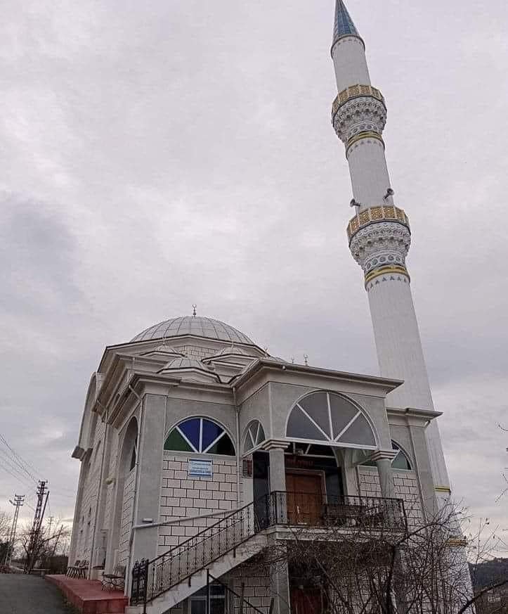 ORDU'DA SATILIK CAMİ VE FINDIK BAHÇESİ