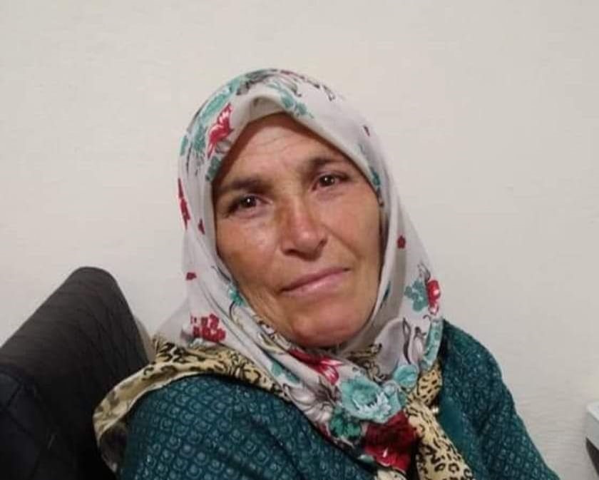 Ordu Altınordu'da öküzün saldırdığı kadın yaşamını yitirdi