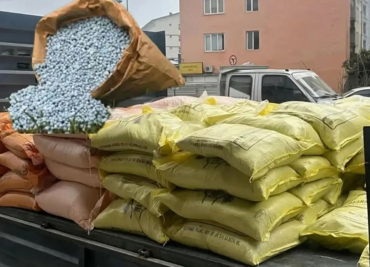 FINDIK 26 AZOT GÜBRENİN FİYATI 18.500 LİRA OLDU